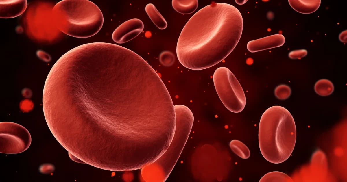 CBC Test Price in Lucknow: What This Crucial Blood Test Reveals
